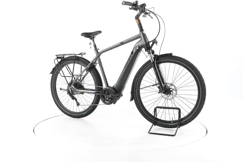 Pegasus Strong EVO 10 2022 | grey | 28" | 55 cm | > 3000 km, image 1 of 4