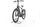 Pegasus Strong EVO 10 2022 | grey | 28" | 55 cm | > 3000 km, thumbnail 4 of 4