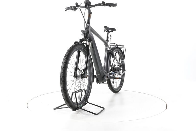 Pegasus Strong EVO 10 2022 | grey | 28" | 55 cm | > 3000 km, image 4 of 4
