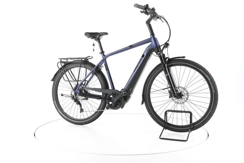 Pegasus Strong Evo 10 Lite 2021 | blue | 28" | 55 cm | <500 km 1
