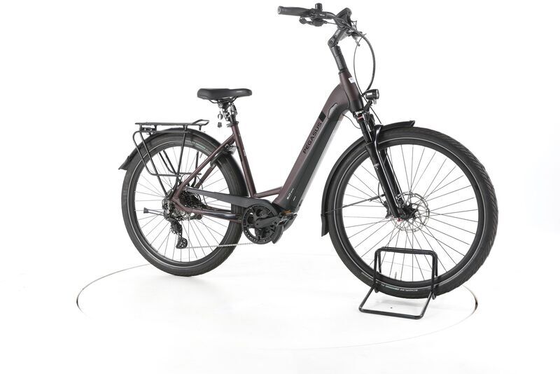 Pegasus Strong EVO 10 Lite 2022 | brown | 28" | 50 cm | < 500 km, image 1 of 4