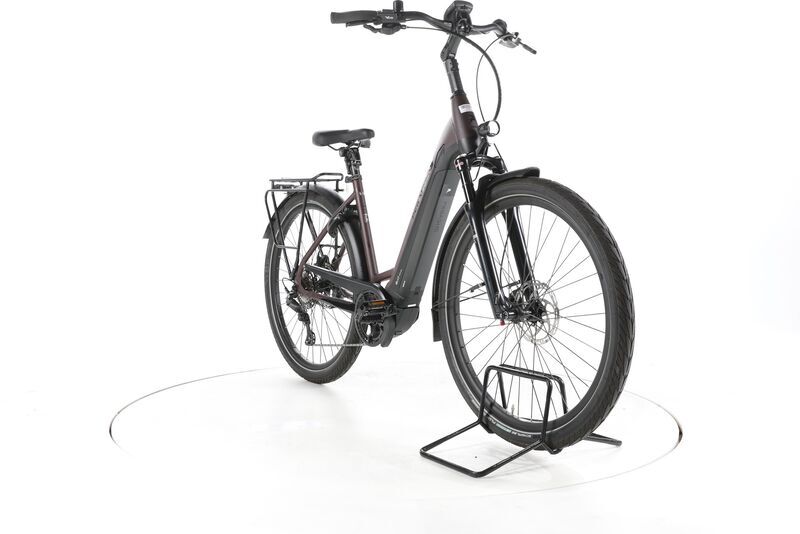 Pegasus Strong EVO 10 Lite 2022 | brown | 28" | 50 cm | < 500 km, image 2 of 4
