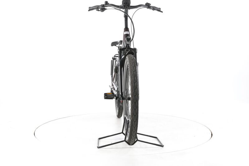 Pegasus Strong EVO 10 Lite 2022 | brown | 28" | 50 cm | < 500 km, image 3 of 4