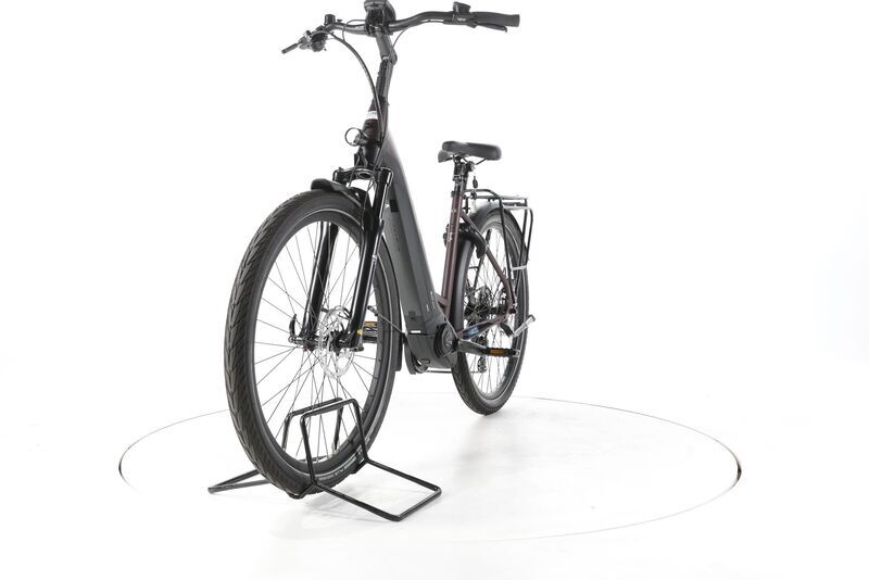 Pegasus Strong EVO 10 Lite 2022 | brown | 28" | 50 cm | < 500 km, image 4 of 4