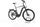 Pegasus Strong EVO 12 Lite 2022 | black | 28" | 63 cm | 500 - 3000 km, thumbnail 1 of 4