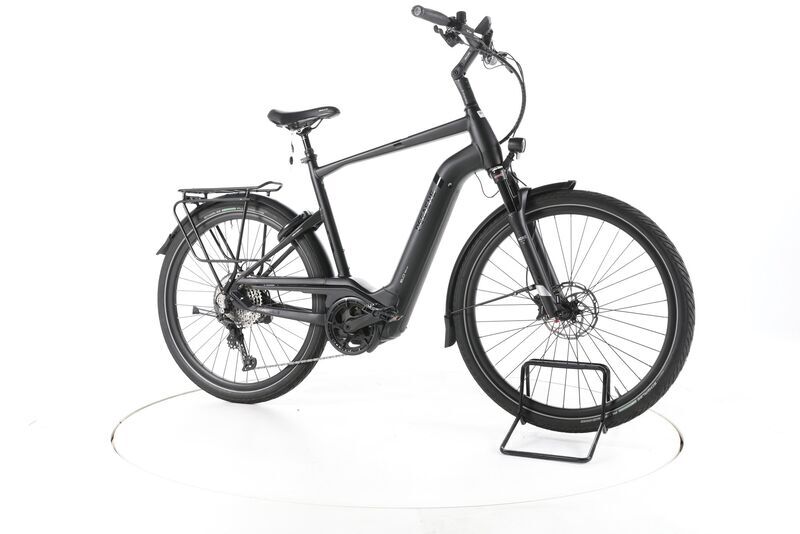 Pegasus Strong EVO 12 Lite 2023 | schwarz | 28" | 60 cm | 500 - 3000 km 1