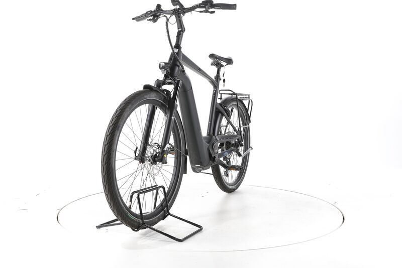 Pegasus Strong EVO 12 Lite 2023 | black | 28" | 60 cm | 500 - 3000 km, image 4 of 4
