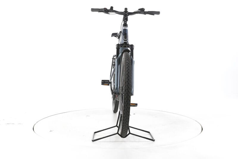Pegasus Strong EVO 5F Lite 2025 | grey | 28" | 50 cm | 500 - 3000 km, image 4 of 5