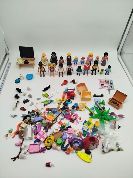 Playmobil 18 Figuren, Tiere & Zubehör | mehrfarbig 1