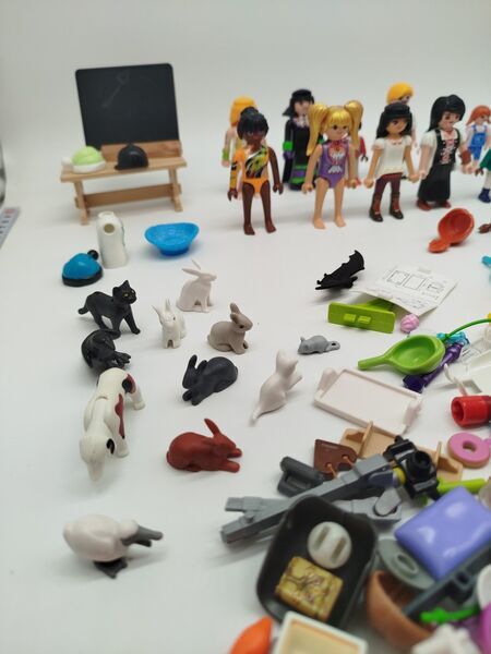 Playmobil 18 Figuren, Tiere & Zubehör | mehrfarbig 3