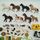 Playmobil Bundle Bauernhof Tiere & Zubehör Pferdee | multicolored, thumbnail 3 of 3