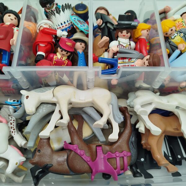 Playmobil Bundle Figuren & Pferde mit Zubehöre | multicolored, image 3 of 4