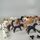 Playmobil Bundle horses 23x play horses & accessories | multicolored, thumbnail 3 of 3