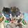 Playmobil Bundle Polizei 3907 3988 Set von 2 Station & Hubschraubere | mehrfarbig, thumbnail 4 of 4