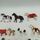 Playmobil Bundle riding stable set von 15 Reiter & horses | multicolored, thumbnail 1 of 2