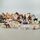 Playmobil Bundle Tiere Set von 42 Figuren & Zubehör | mehrfarbig, thumbnail 2 of 4