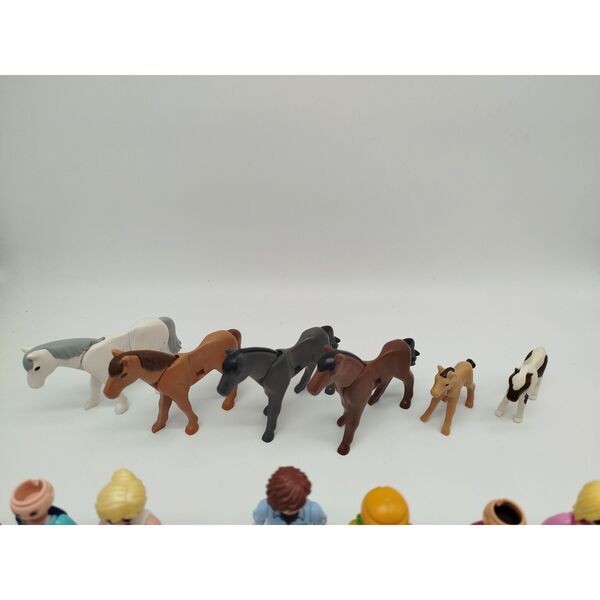 Playmobil Figuren & Pferde Set 12er | večbarven 2