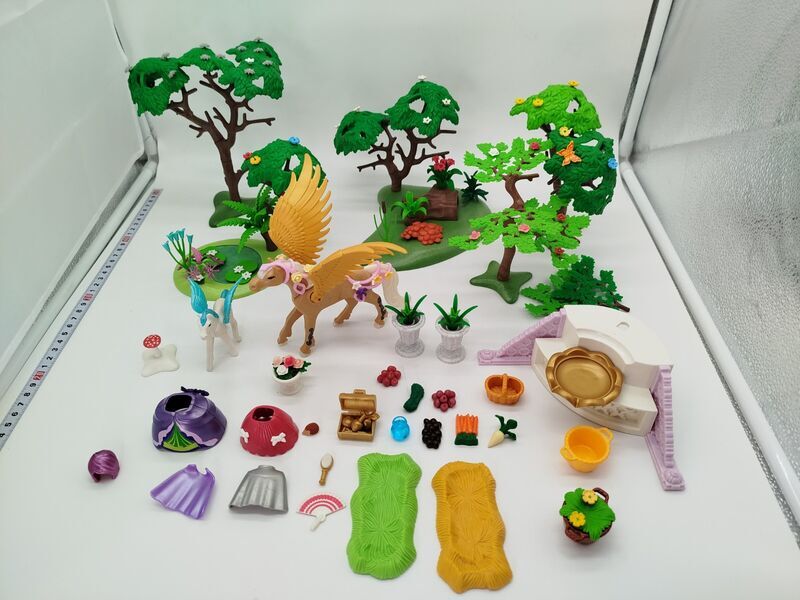 Playmobil Natur- und Pegasus - Spielset | mehrfarbig 1