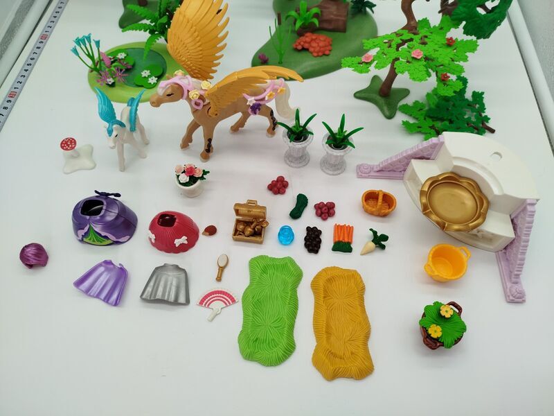 Playmobil Natur- und Pegasus - Spielset | mehrfarbig 2