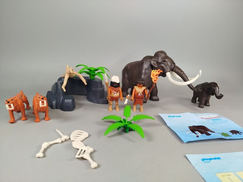 Playmobil Sets - Pirateninsel & Eiszeit mit Figuren & Zubehör | mehrfarbig 4