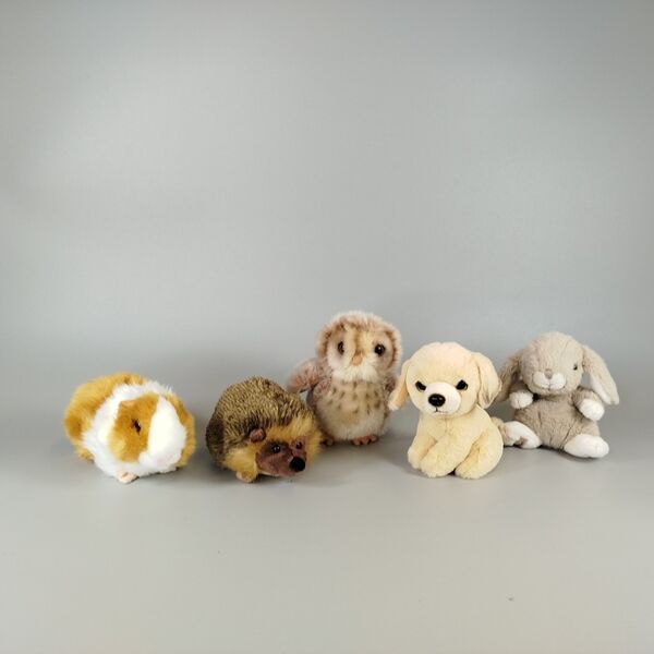 Plüschtiere Konvolut - Haus- und Waldtiere | 5 Stück | mehrfarbig 1