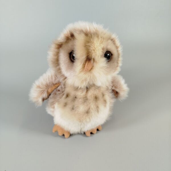 Plüschtiere Konvolut - Haus- und Waldtiere | 5 Stück | mehrfarbig 3