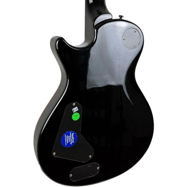 PRS SE Nick Catanese Signature 2010 - Black | black, image 4 of 4