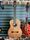 Prudencio Saez 5-PS Gloss Natural All-Solid Made in Spain Classical Guitar | Gloss Natural, thumbnail 2 of 5