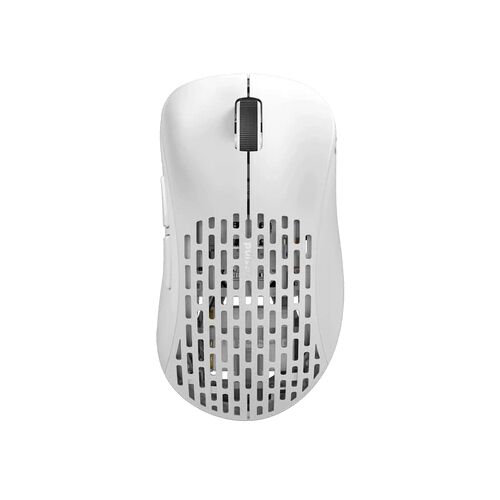 Pulsar Xlite V2 Medium Wireless | wit