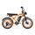 PVY A20 2026 | orange | 20" | S | < 500 km, thumbnail 1 of 4
