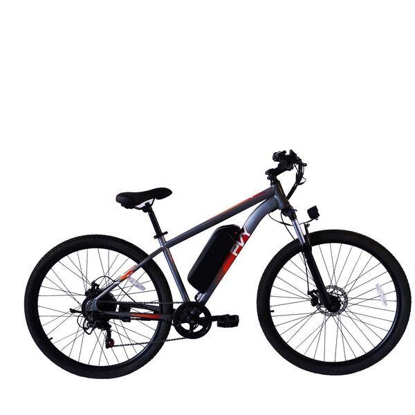 PVY M29 2026 | grå | 29" | L | < 500 km, image 2 of 4
