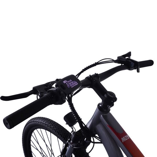PVY M29 2026 | vit | 29" | L | < 500 km, image 2 of 4