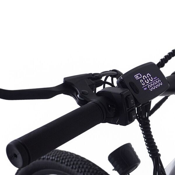 PVY M29 2026 | vit | 29" | L | < 500 km, image 4 of 4