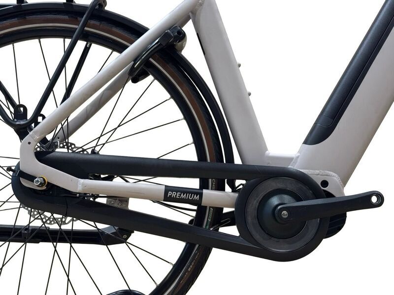 Qwic Premium i MN7 2021 | grey | 28" | L | 500 - 3000 km, image 5 of 5