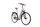 Qwic Premium i MN8C (2021) | Low Entry | beige | 28" | 53 cm | 100 - 500 km thumbnail 1/4