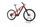 R Raymon 160 E 10.0 2023 | red | 29" | M | 500 - 3000 km, thumbnail 1 of 4