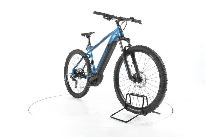 R Raymon Hard Ray E 5.0 2022 | blue | 29" | L | 500 - 3000 km 2