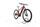 R Raymon HardRay E 4.0 2022 | red | 29" | M | 500 - 3000 km, thumbnail 2 of 4