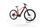 R Raymon HardRay and 4.0 2022 | red | 29" | 45 cm | 500 - 3000 km, thumbnail 2 of 5