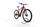 R Raymon HardRay and 4.0 2022 | red | 29" | 45 cm | 500 - 3000 km, thumbnail 3 of 5