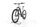R Raymon HardRay E 5.0 2022 | grau | 29" | 50 cm | 500 - 3000 km, thumbnail 4 of 4