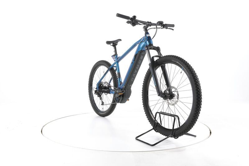 R Raymon HardRay and 5.0 2023 | blue | 29" | 50 cm | 500 - 3000 km, image 3 of 5
