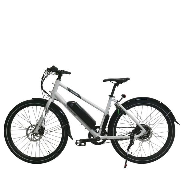 Rad Power Bikes RadMission (2020) | Diamant | weiß | 28" | M | 1500 - 2000 km 2