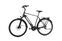 Raleigh Bristol 8 (2020) | Diamond | green | 28" | 60 cm | 500 - 1000 km thumbnail 2/4