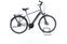 Raleigh Bristol Premium (2020) | Diamant | grau | 28" | 53 cm | L | 500 - 1000 km thumbnail 1/5