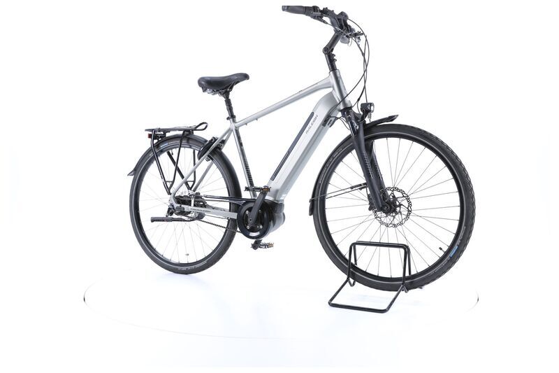 Raleigh Bristol Premium (2020) | Diamant | grau | 28" | 53 cm | L | 500 - 1000 km 2