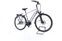 Raleigh Bristol Premium (2020) | Diamant | grau | 28" | 53 cm | L | 500 - 1000 km thumbnail 2/5