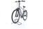 Raleigh Bristol Premium (2020) | Diamant | grau | 28" | 53 cm | L | 500 - 1000 km thumbnail 5/5