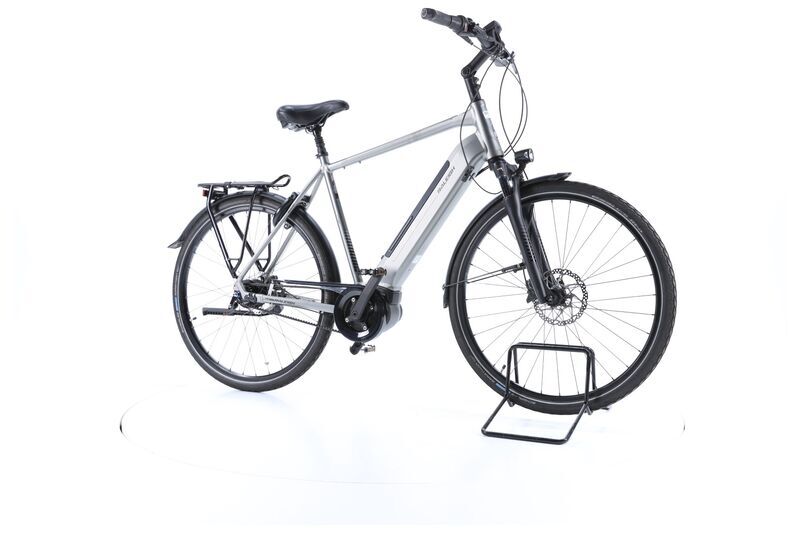 Raleigh Bristol Premium (2021) | Diamant | grau | 28" | 58 cm | XL | 500 - 1000 km 2