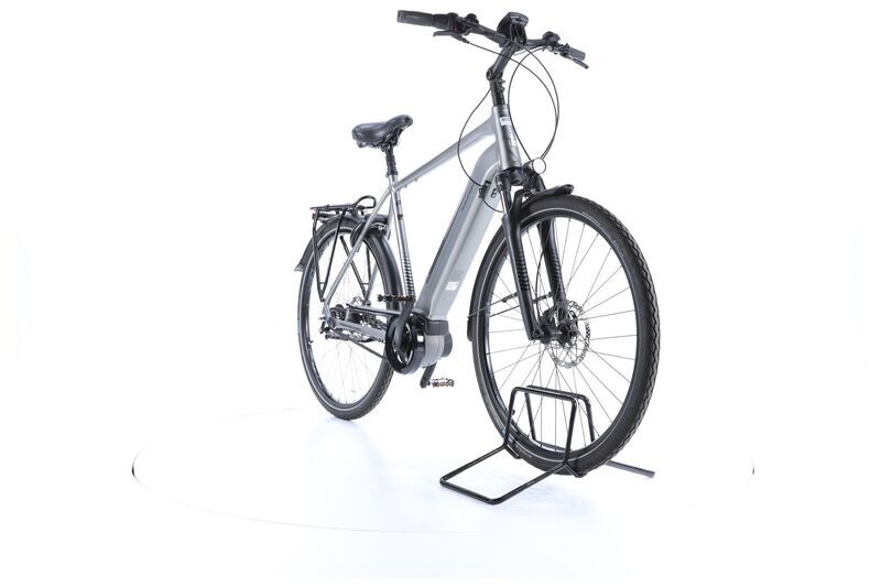 Raleigh Bristol Premium (2021) | Diamant | grau | 28" | 58 cm | XL | 500 - 1000 km 3